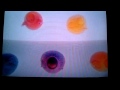 Closing To Boohbah Comfy Armchair 2004 VHS