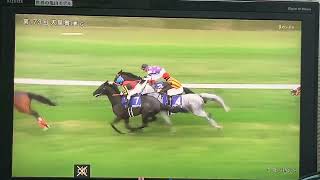 【競馬実況動画2026】第173回天皇賞・春 クロワデュノール（北村友一）