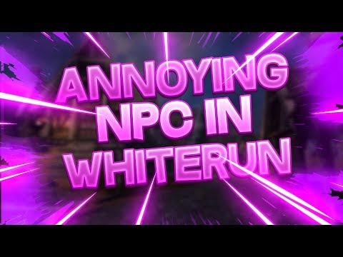 Seagull Invades Whiterun To Annoy NPCs! - Skyrim