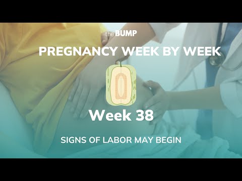 This week in Babyland (Week 38)