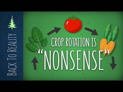 Is Crop Rotation Necessary in a Ruth Stout Garden?