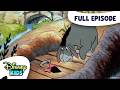 Eeyore S Tail Tale Three Little Piglets The New Adventures Of Winnie The Pooh S2 E4