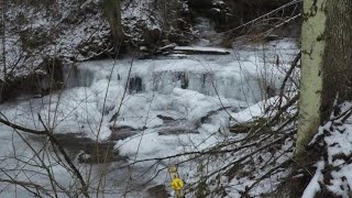 【雪山】大麻ファーム内の滝を見にいく  (トレッキング アメリカ ニューヨーク 川 農業 散策 癒し 自然 Go pro 手ブレ)