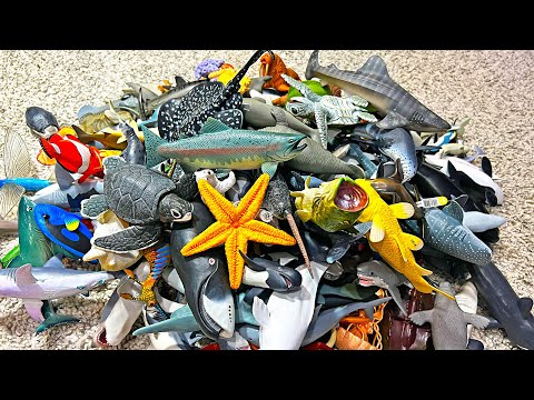 Sea Animals Collection - Shark, Whale, Dolphin, Clownfish, Squid, Octopus, Crab, Lobster