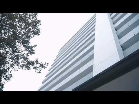 KINGSOLOMUN PASSI - Staub und Rauch