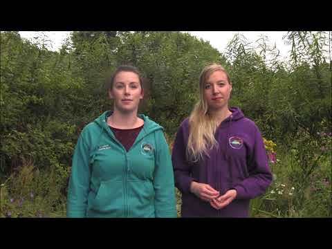 SRUCSA introduction to clubs and societies 2017-18