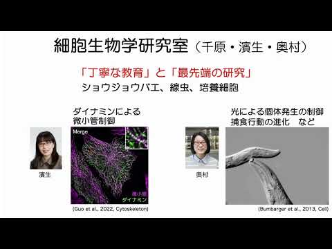 広島大学理学部　細胞生物学研究室