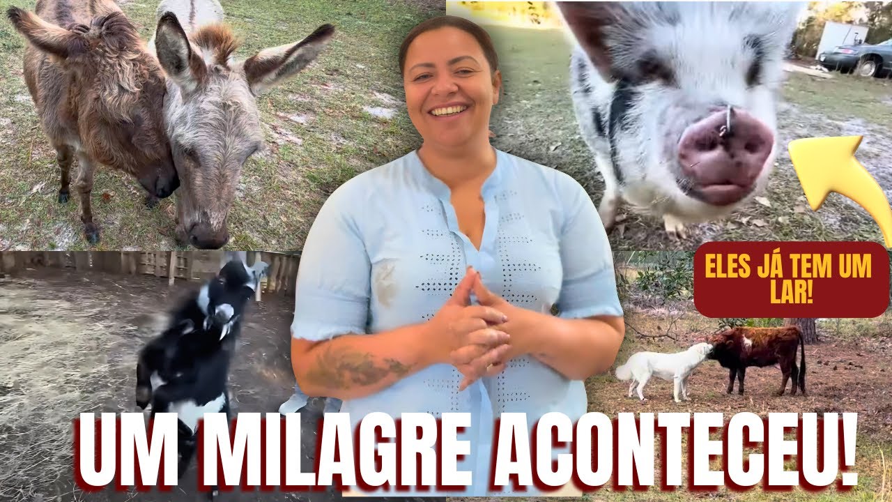 UM MILAGRE ACONTECEU | DEUS ESTÁ ESCUTANDO TODAS AS MINHAS ORAÇÕES