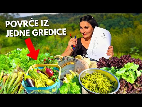 I Grown 18 Kinds of Vegetables in One Bed!?