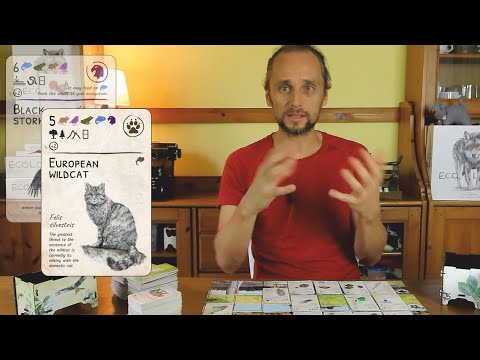 EcoLogic   basics of mechanics and expansions