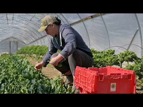 Maine Food Story - Season 2, Episode 4 - Off the Grid