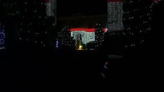 メルボルンはクリスマス Vol 3 #shorts