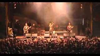 The Casualties - Tomorrow Belongs to Us Live