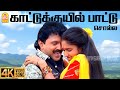 Kattu Kuyil 4K Video Song காட்டுக்குயில் பாட்டு Chinna Mappi