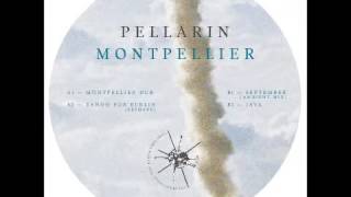 Pellarin - Montpellier Dub
