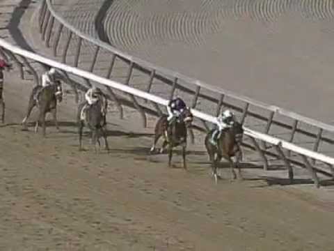 2001 Wood Memorial Stakes - Congaree