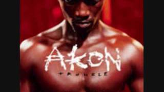 akon-shake down