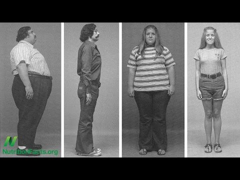 Evidence Based Weight Loss Live Presentation