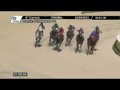 230922 c06 - DOG ALICANTE - HIPODROMO LAS PIEDRAS