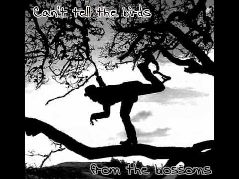 download lagu mp3 mp4 Tom Waits Green Grass Lyrics, download lagu Tom Waits Green Grass Lyrics gratis, unduh video klip Tom Waits Green Grass Lyrics
