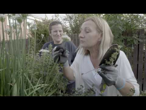 The Feeling Is Mutual- Watch how easy it is to get involved with Bron Afon