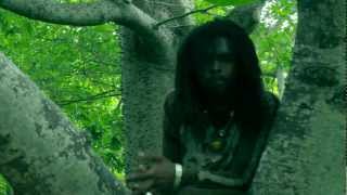 LION - JUNGLE LION (STORM TROOPER RIDDIM) OFFICIAL VIDEO