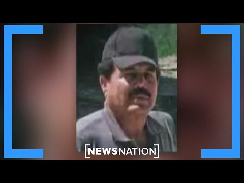 Sinaloa co-founder 'El Mayo' Zambada pleads guilty to ...
