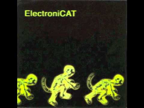 ElectroniCAT - I Love You So