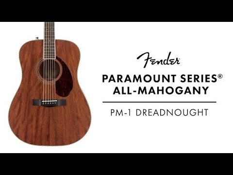 FENDER PM-1 Dreadnought All Mahogany акустическая гитара обзор в Музторг Украина