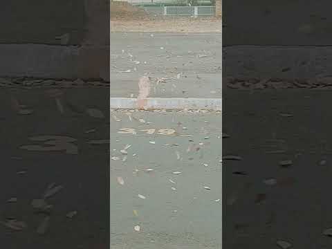 Quem chegava de São Paulo/Cordeirópolis tinha esta visão de Pirassununga SP 09.09.25 10 hs