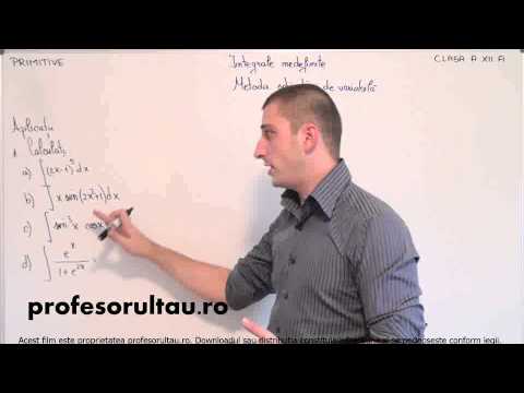 04   cls12   Primitive   integrale nedefinite   metoda schimbarii de variabila   aplicatii   partea 1