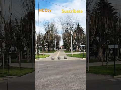 Perquenco Araucania Chile # #shortvideo # #shortyoutube # #suscribense #mrbeast #perquenco