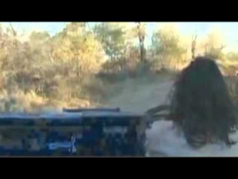 PM Djuma Safari Drive - Hyena Den - Aug 22, 2011