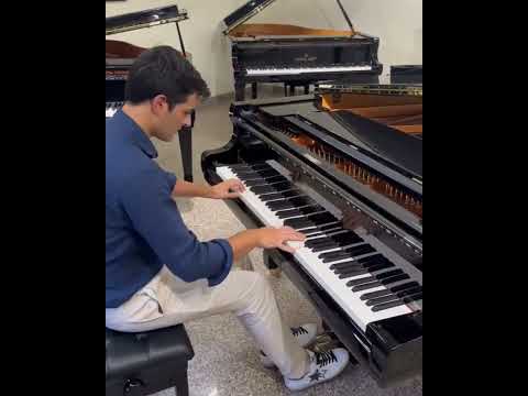 Chopin - Etude Op.10 No.12 "Revolutionary"