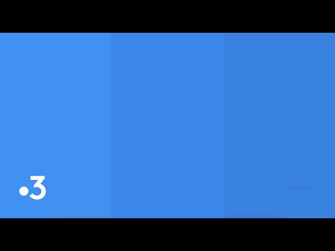 France 3 - "Avec" Ident / Audiodescription & "Sensibilité" Trailers | Recreation [4K 60 fps]