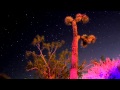 Josh Homme - Desert Roll (From AB No Reservations ...