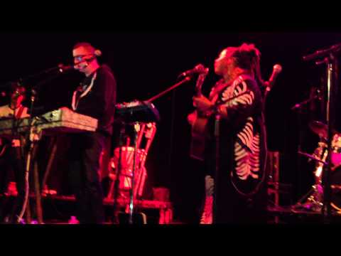 Mickey Hart Band: Scarlet Begonias (clip)