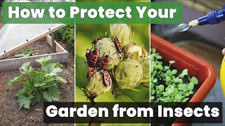 Want Healthy Plants? Here's How to Protect Your Garden from Insects! 🌻