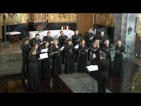 IAM TE SOLUM AMO (I, II), Vaclovas Augustinas - BREVIS VOCAL GROUP
