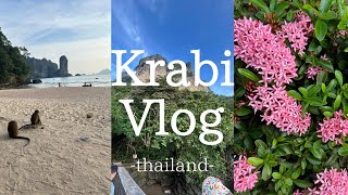 【バイク旅】サムイ島↔︎クラビ🐒温泉の滝と猿が生息する絶景ビーチ🌺🏝️冬のタイを楽しむ