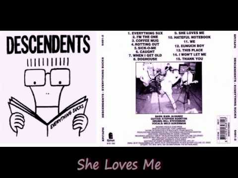 Descendents - Everything Sucks [ FULL ALBUM ]