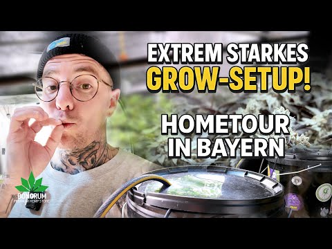 Home Tour Bavaria 🇩🇪 | "Simple" Coco Grow Setup with extremely strong results!