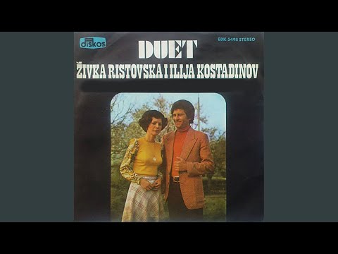 Ne ja zatvoraj majko portata