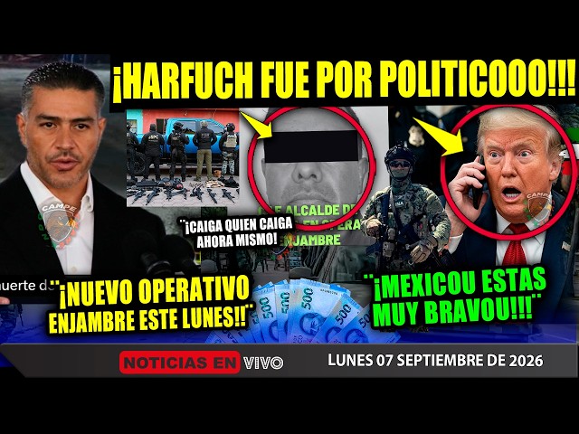 Vídeo relacionado con LA NECESIDAD DE SENTIRSE AMADO