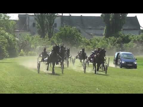 Trka "Anica" 05.06.2021 Čehov - Milenko Gajić