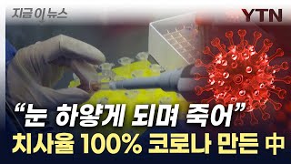 中...이번엔 '치사율 100%' 코로나 변이 제조