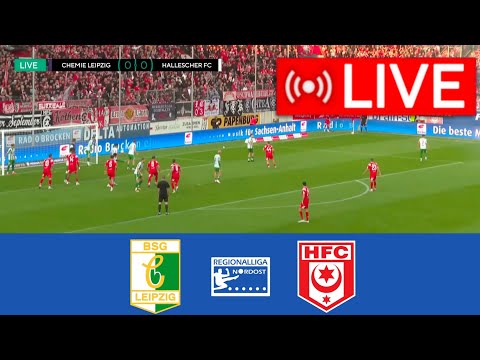BSG Chemie Leipzig - Hallescher FC (0-2) Tore Highlights | Regionalliga Nord Spiel heute Highlights!