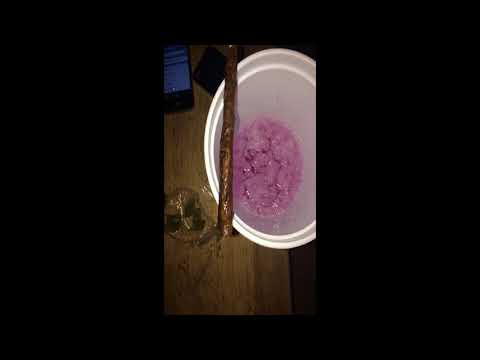 Gone - ABE$ ft Lil joe