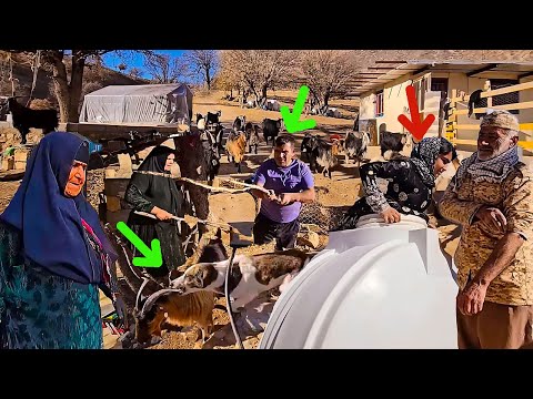 Strange and scary challenges for the grandma's family