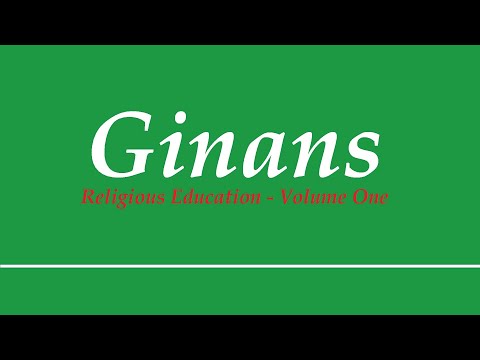 Satgur Maliya Mane Aaj - સતગુર મલીઆ મને આજ - Amir Kassam